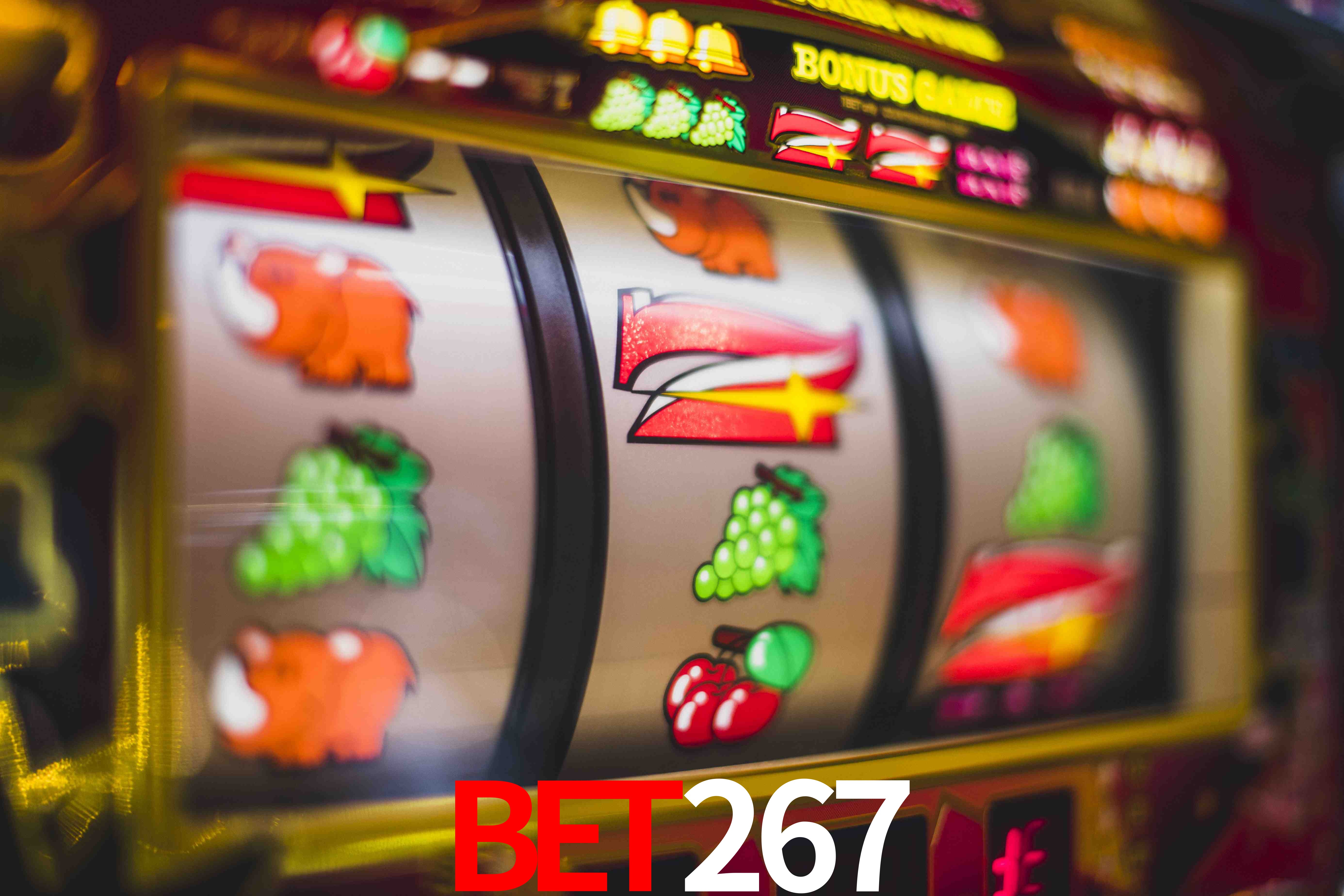 Statistics bet267
